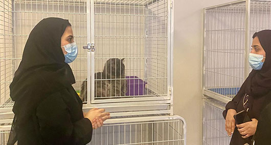 Riyadh Animal Shelter